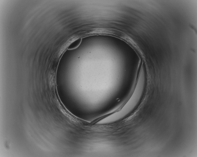 X0000099421049200805231624