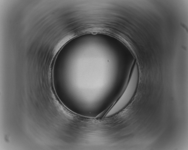 X0000099421050200805231624