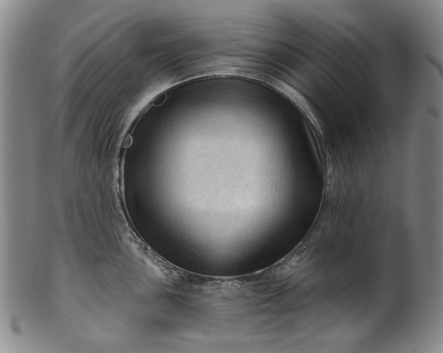 X0000099421051200805231624
