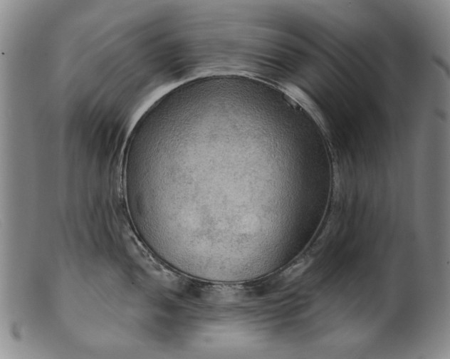X0000099421052200805231624