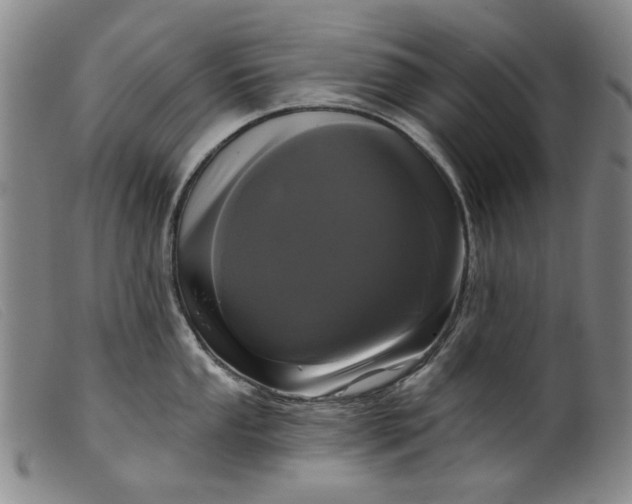 X0000099421053200805231624