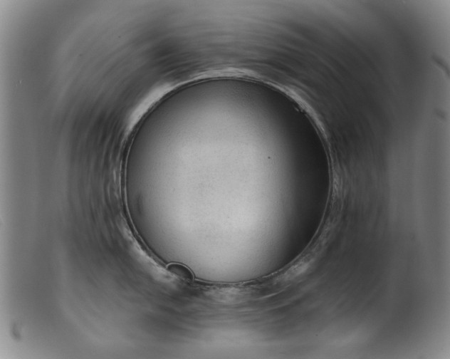 X0000099421054200805231624