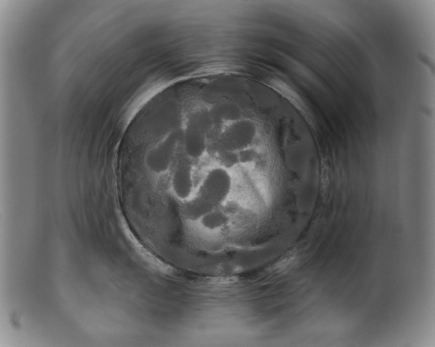 X0000099421055200805231624