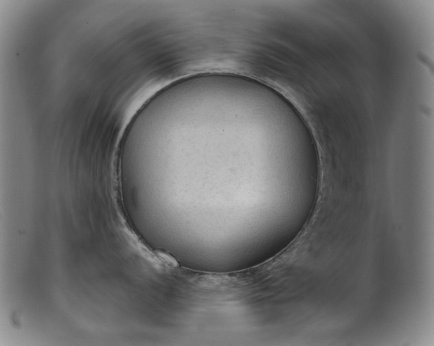 X0000099421056200805231624