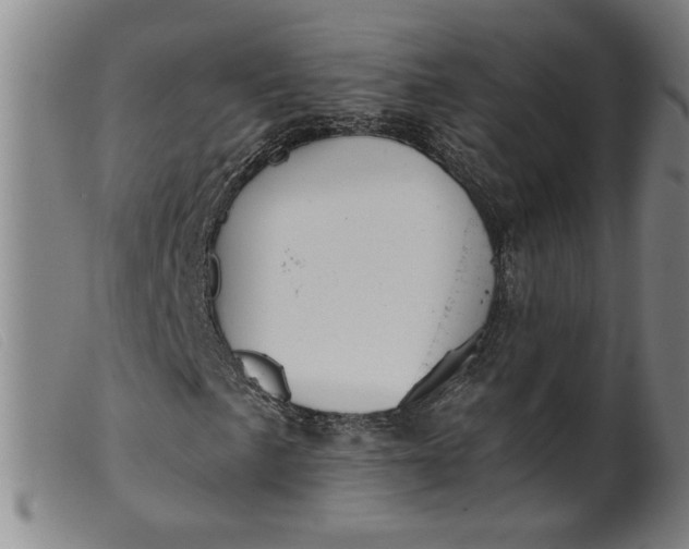 X0000099421057200805231624