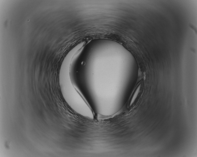 X0000099421059200805231624