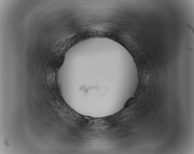 X0000099421061200805231623