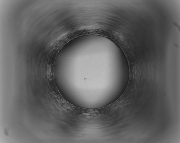 X0000099421062200805231623
