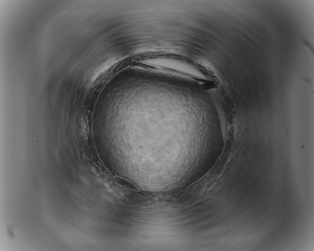 X0000099421064200805231623