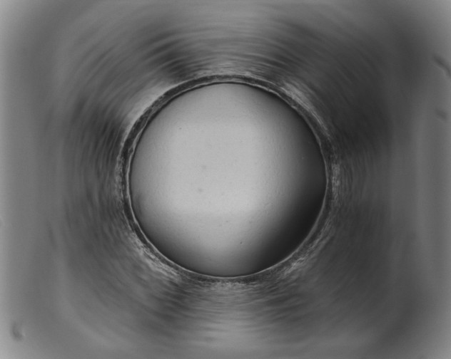 X0000099421068200805231623