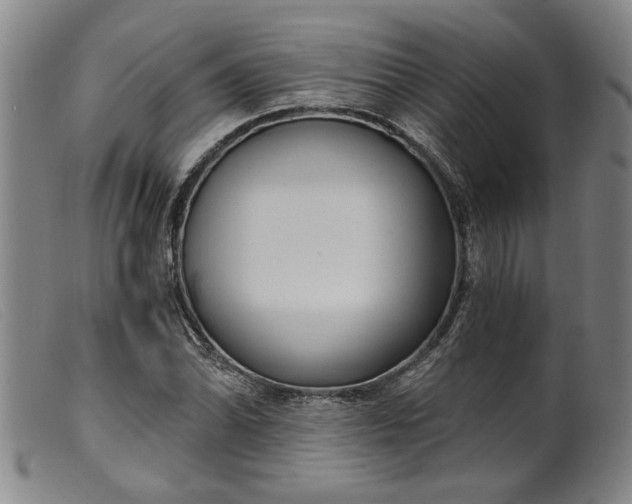 X0000099421070200805231623