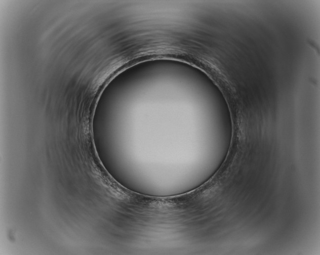 X0000099421073200805231623