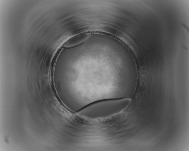 X0000099421076200805231623
