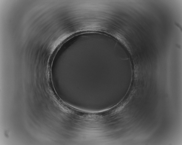 X0000099421077200805231623