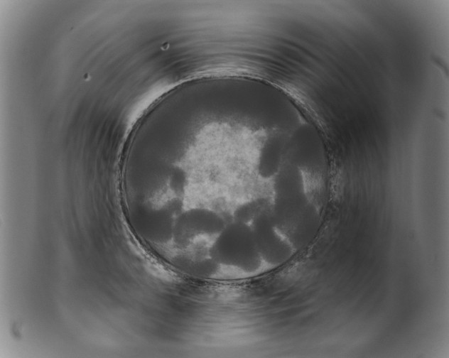 X0000099421086200805231623