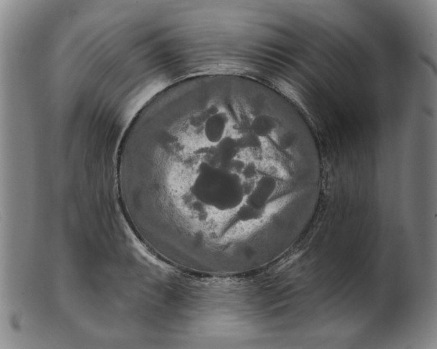 X0000099421087200805231623