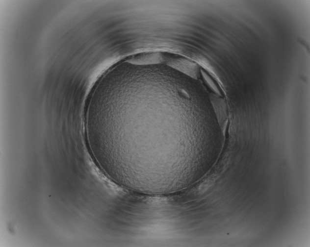 X0000099421088200805231623