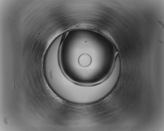 X0000099421091200805231623