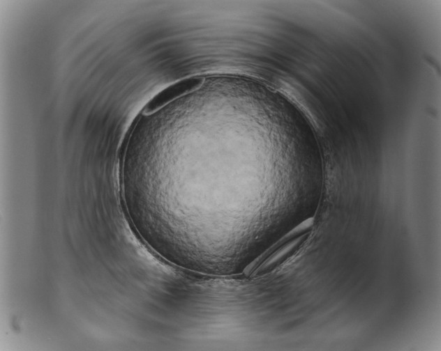 X0000099421092200805231623