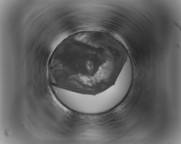 X0000099421095200805231623