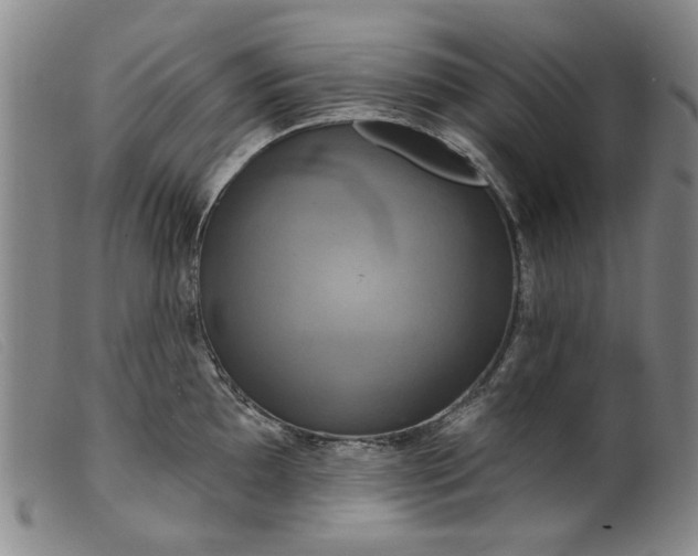 X0000099421097200805231623