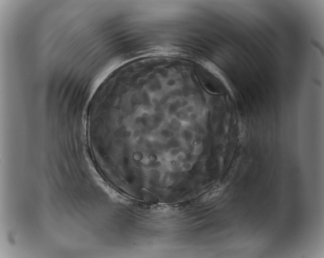 X0000099421099200805231623