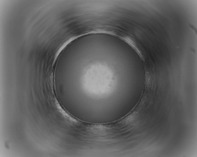 X0000099421100200805231623