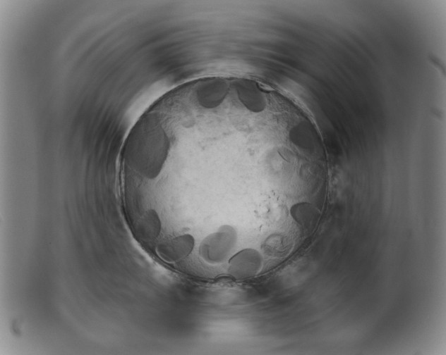 X0000099421103200805231623