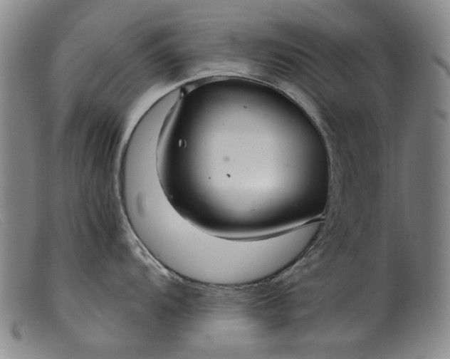 X0000099421104200805231623