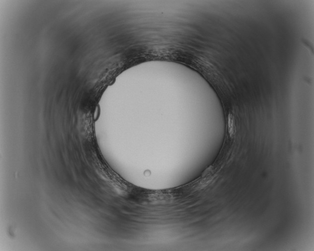 X0000099421107200805231622