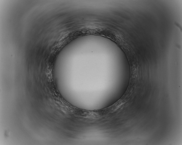 X0000099421109200805231622