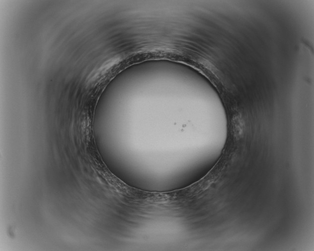 X0000099421111200805231622