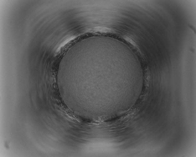 X0000099421112200805231622