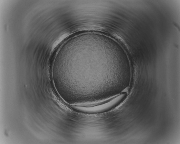 X0000099421114200805231622