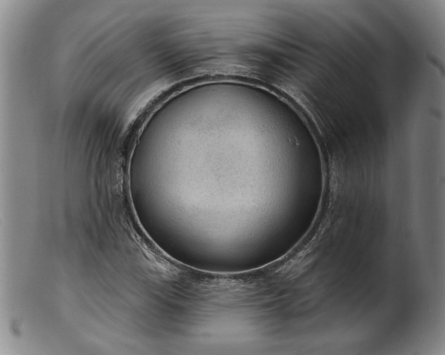 X0000099421115200805231622