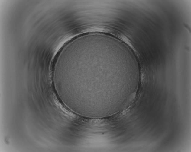 X0000099421116200805231622