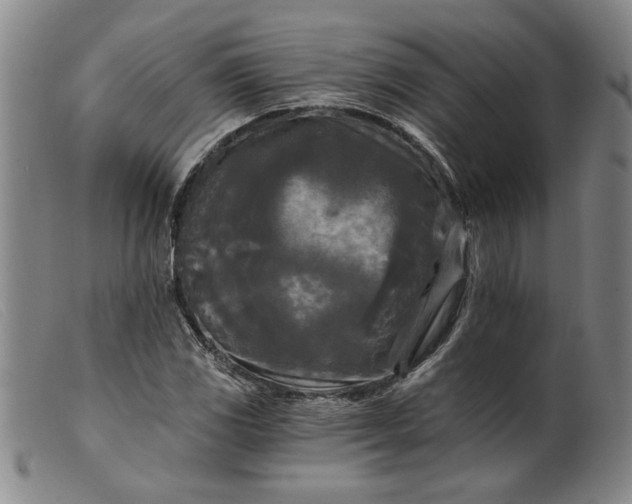 X0000099421117200805231622