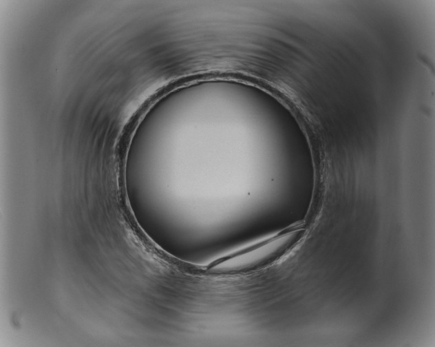 X0000099421118200805231622