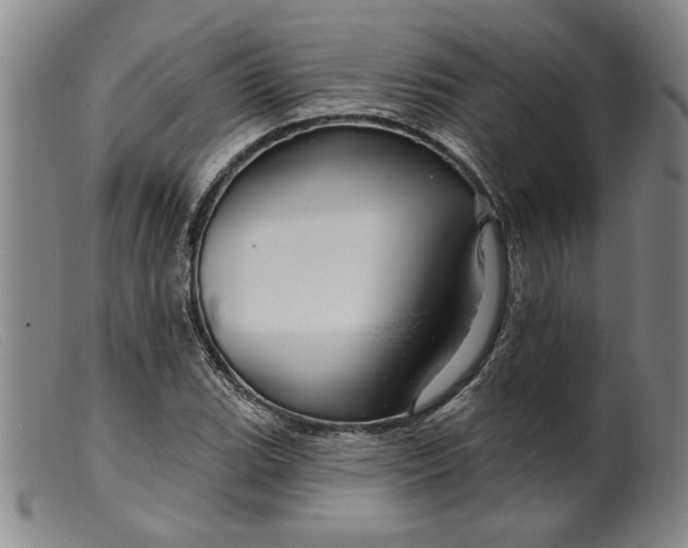 X0000099421119200805231622