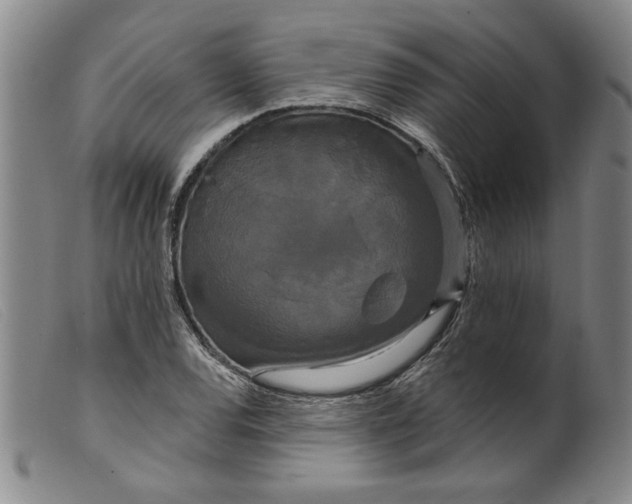 X0000099421120200805231622