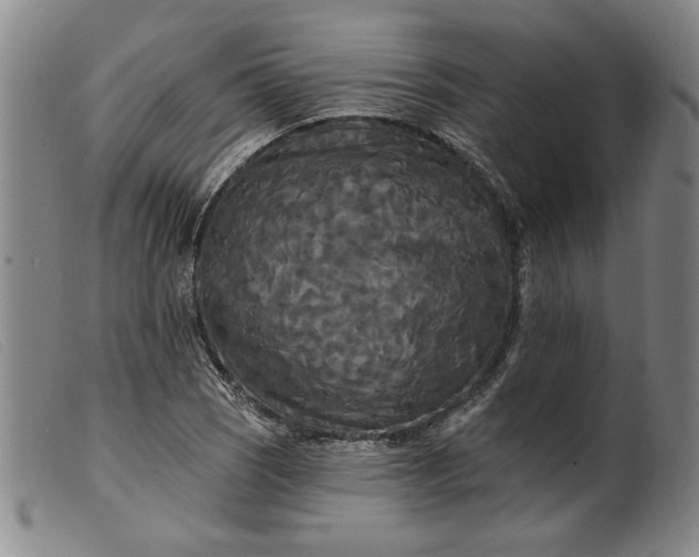 X0000099421121200805231622