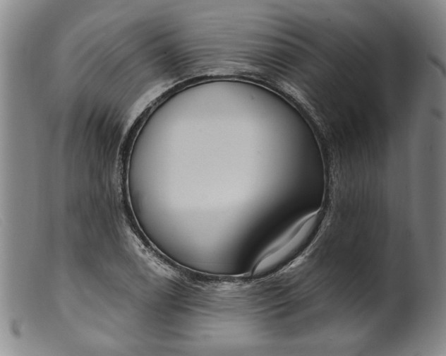 X0000099421122200805231622