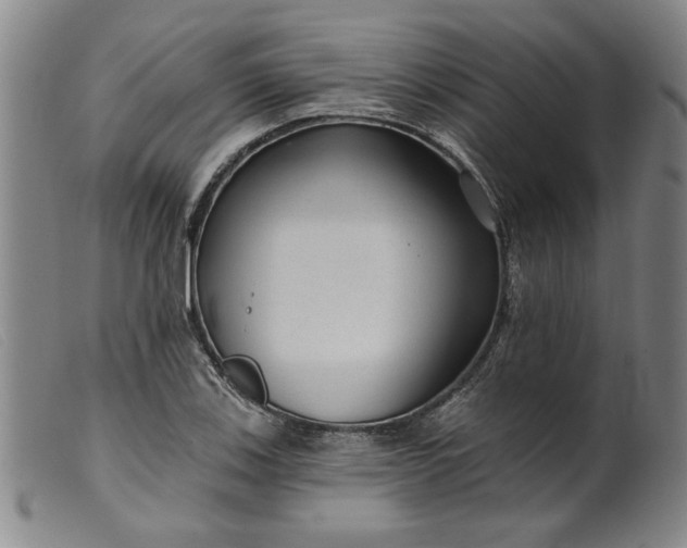 X0000099421123200805231622