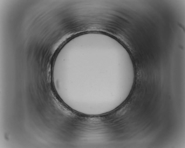 X0000099421126200805231622