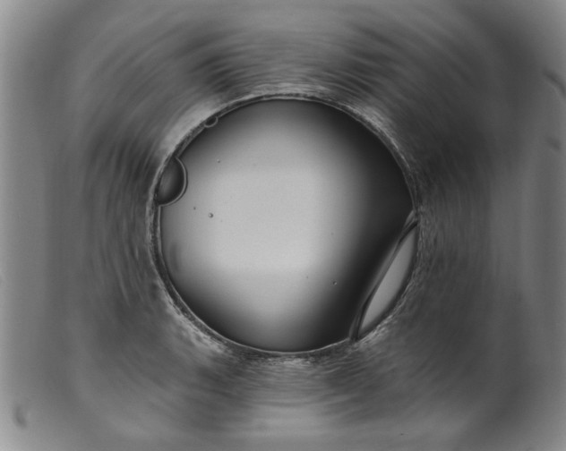 X0000099421135200805231623