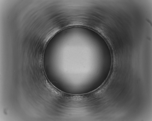 X0000099421137200805231623