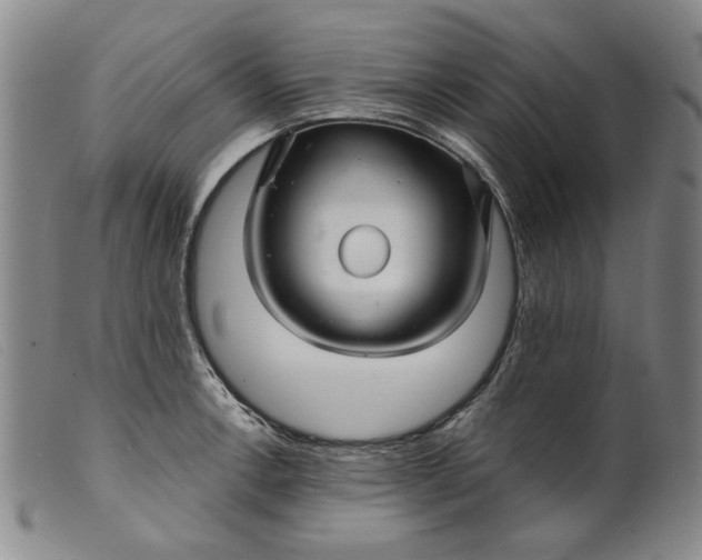 X0000099421138200805231623
