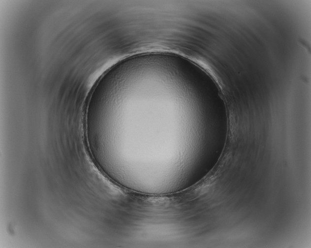 X0000099421142200805231623