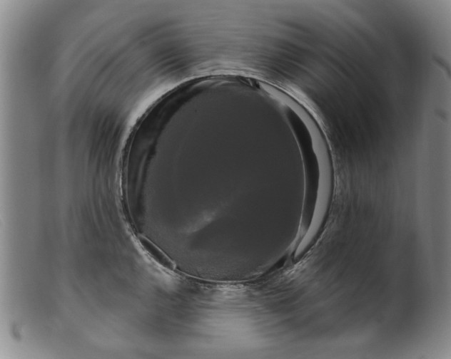 X0000099421144200805231623