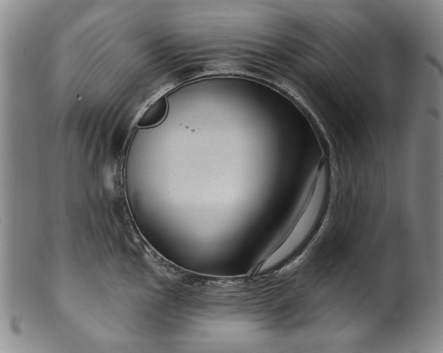 X0000099421145200805231623